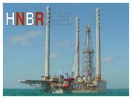 CHEMICAL AND PETROCHEMICAL INDUSTRY HNBR